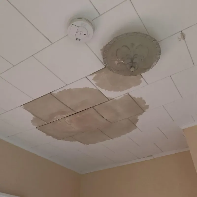 Ceiling Water Damage Repair in Long County, GA