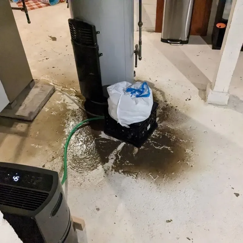Sewage Backup Cleanup Service in Long County, GA